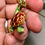 Thumbnail: Vintage 18K Diamond Ruby Enamel En Tremblant Turtle Brooch Pin