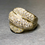 Thumbnail: Estate 18K Yellow Gold Pave Diamond Wide Scalloped Bypass Ring 2.70cttw Sz 6.5