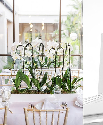 Orchid table top.jpg