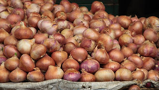 Onion - White (per Kg)