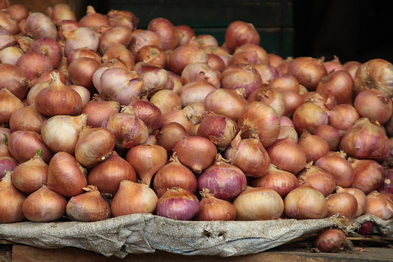 Sibuyas Puti / Onion White Per Kilo