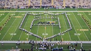 Field Shoe Image #3.jpeg