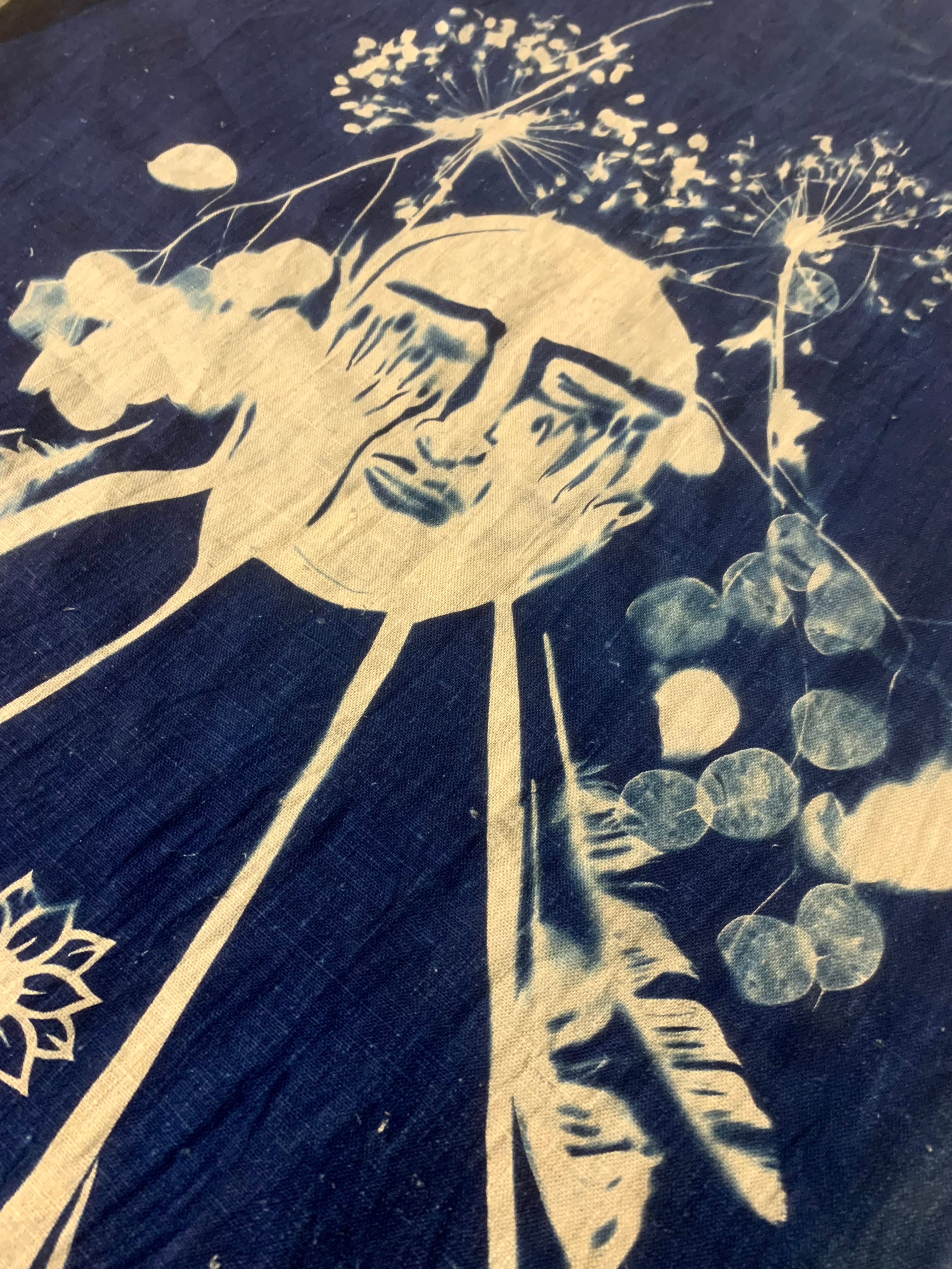 Moon river top shroud