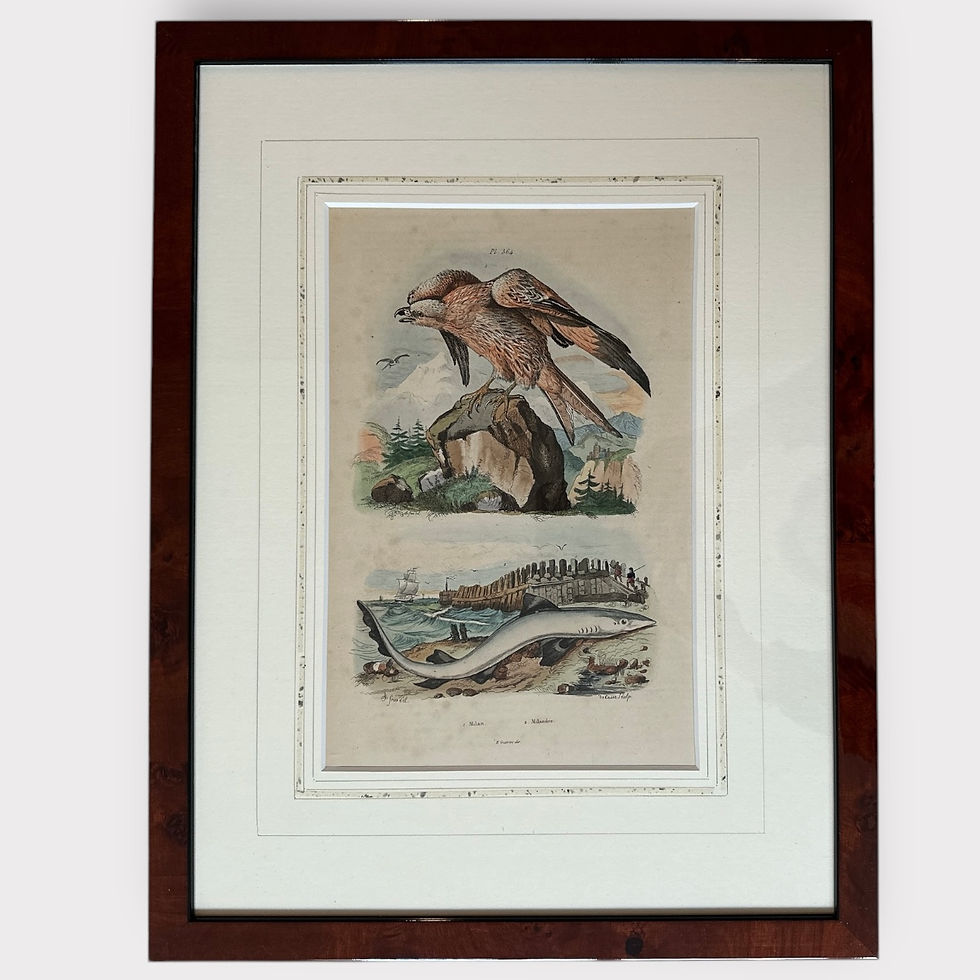 Thumbnail: Set of Nine Hand Coloured Prints