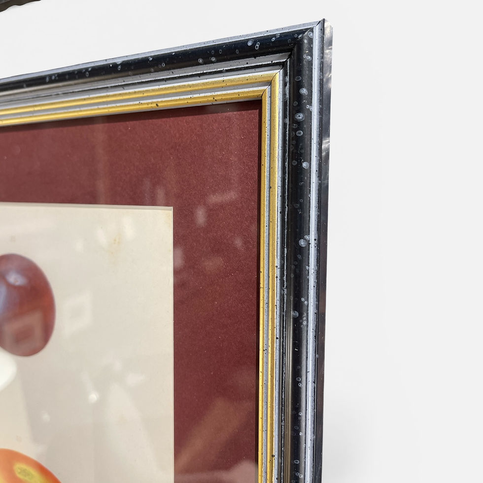 Thumbnail: Nine 19th Century prints of apples
