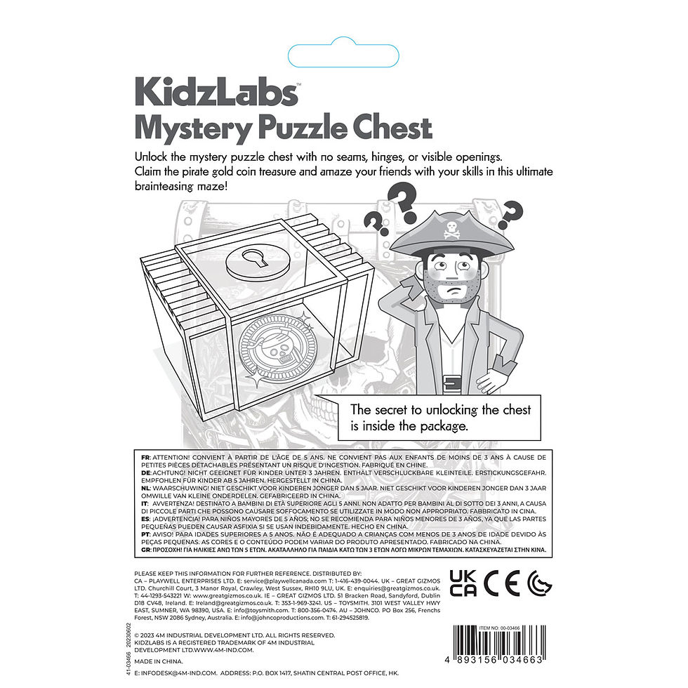 Thumbnail: 4M KidzLabs Mystery Puzzle Chest | Logic STEM Puzzle Kit NZ – Nivy STEM