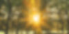 239242314_10160400115628455_3004927710876959666_n_edited.jpg