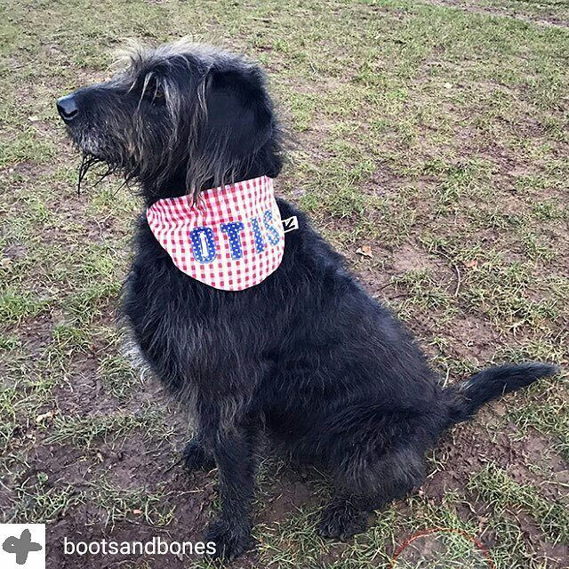 Otis Grumbles Blog