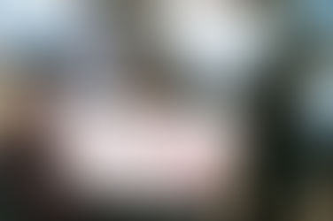 다문화 관련 헌법 개정에 대한 제언
부제 : 왜 무슬림들은 유럽에서 그 사회에 적응하지 못하고 그 문화에 동화될 수 없었을까?