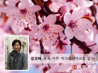 매화