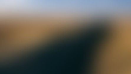 불법이민과 범죄행위에 대해 침묵하는 주류언론 -
최근 AP 보도는 노골적반대 위한 객관성 무시한 보도