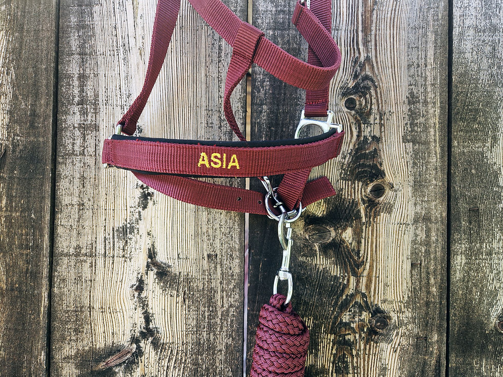 Thumbnail: Capezza ricamata personalizzata con il nome sul frontalino