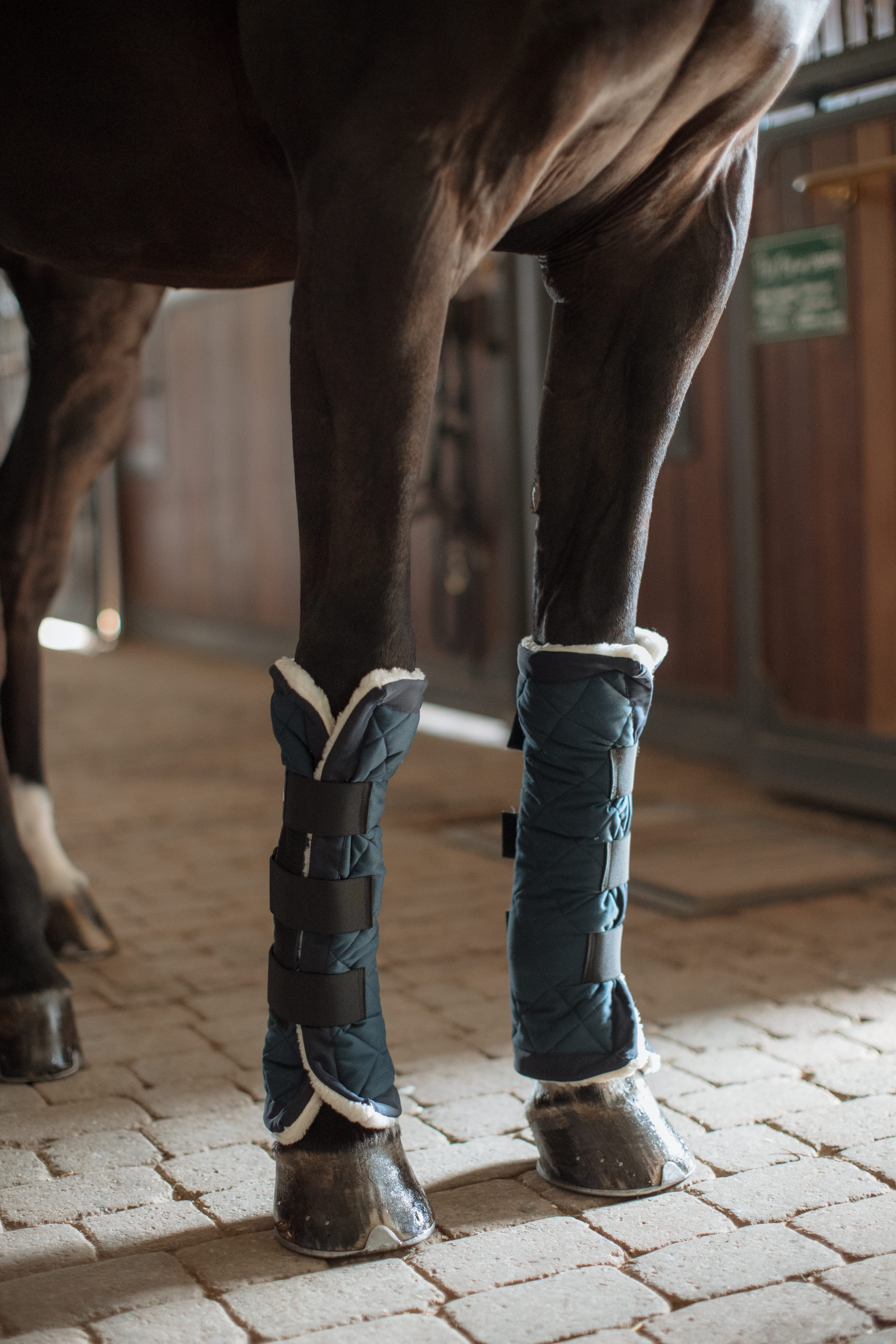 Gambaletti terapeutici di Bio-Ceramica LoveHorses su cavallo