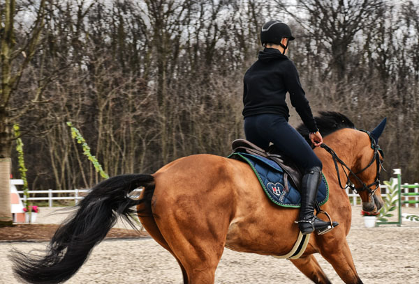 LOVEHORSES Riding The Future - Fascia di Rispetto Deluxe