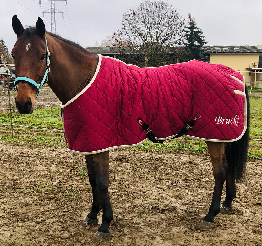 Sottocoperta traspirante e termoregolante in bio-ceramica, progettata per il benessere muscolare del cavallo