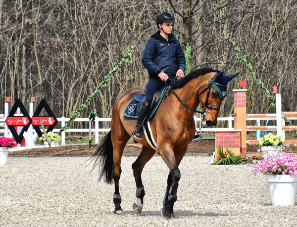 LOVEHORSES Riding The Future | Fascia di Rispetto