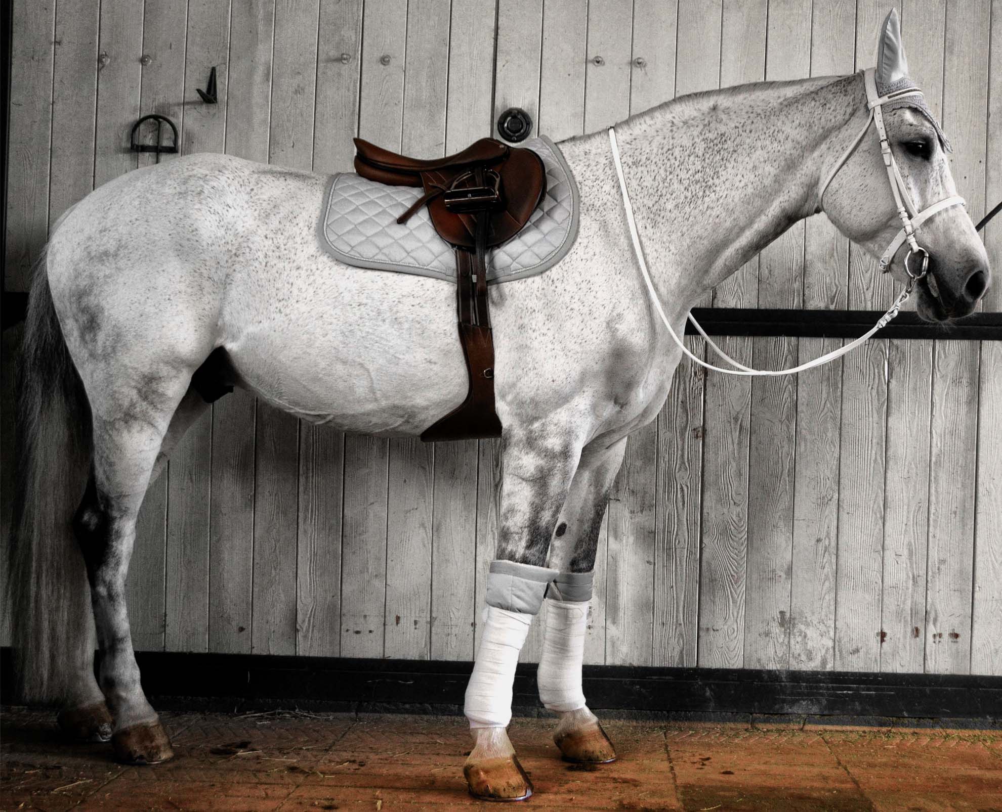 Bio-Keramik Satteldecke