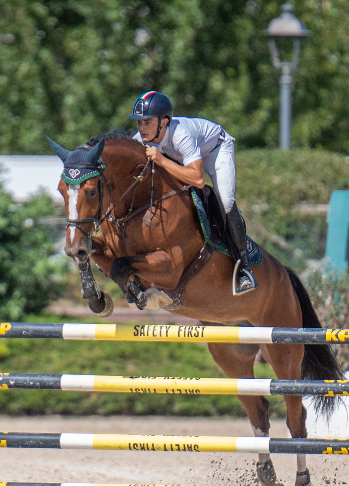 LoveHorses' fly veil on Domenico Carlino's horse.