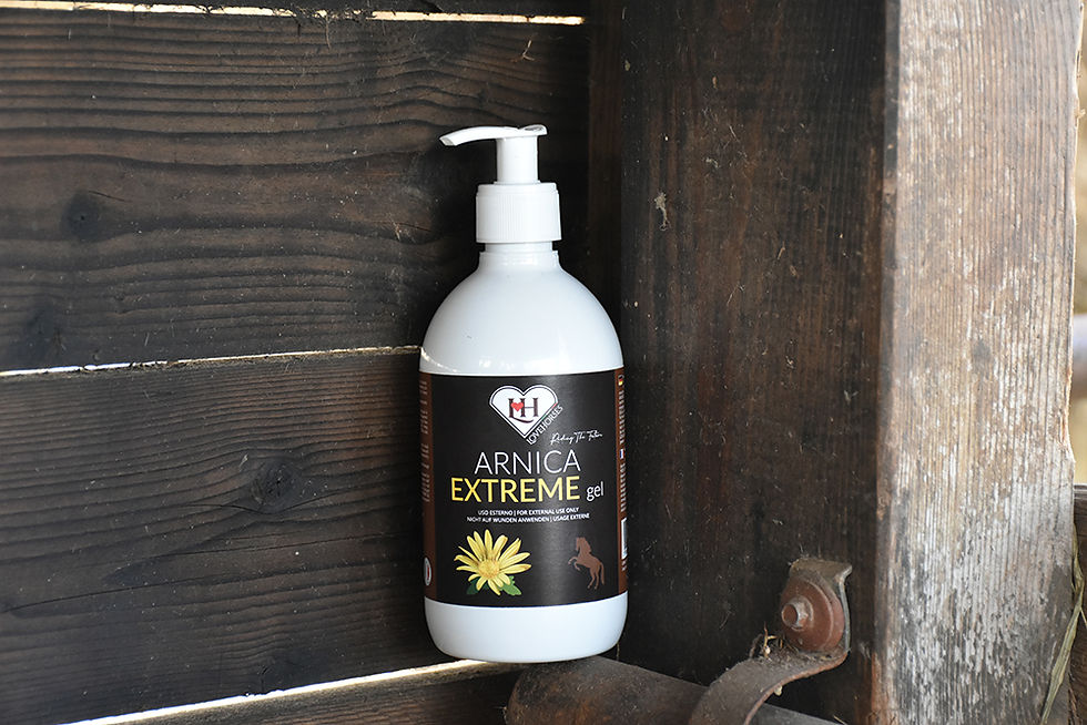 Thumbnail: Gel all’arnica naturale LoveHorses per cavalli, favorisce il recupero muscolare e lenisce tensioni e gonfiori
