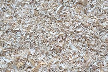 Die Einstreu im Pferdestall ā Stroh oder SƤgespƤne für die Pferdegesundheit