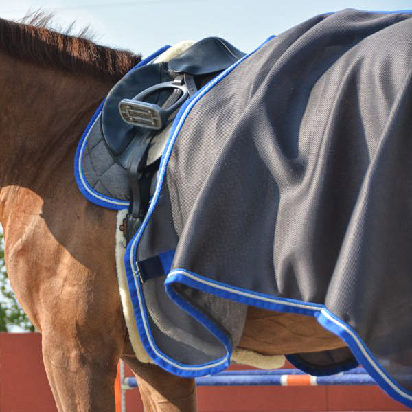 Coperta da passeggio in Airnet LoveHorses, favorisce la circolazione dell'aria e protegge il cavallo sudato dal freddo