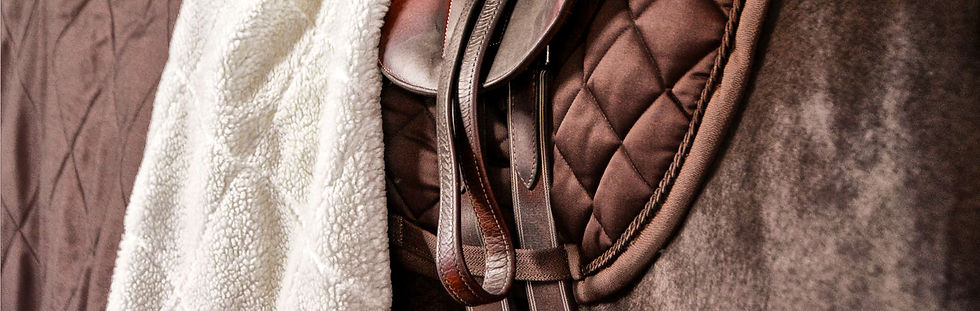 Sottosella BIO-5 in bioceramica LoveHorses