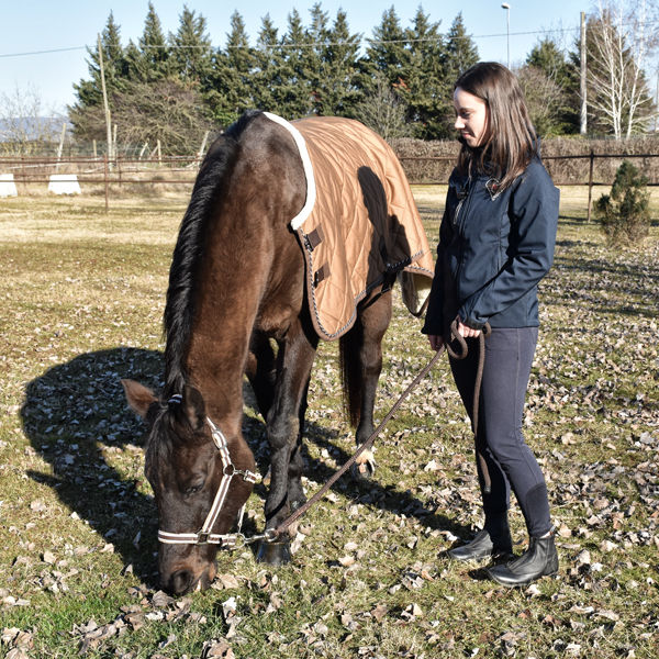 Miniature : Sottocoperta traspirante e termoregolante in bio-ceramica, progettata per il benessere muscolare del cavallo