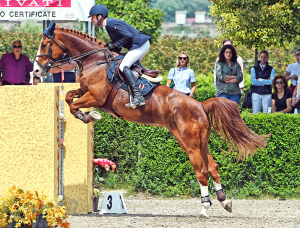 Alberto Coppari
LOVEHORSES Riding The Future