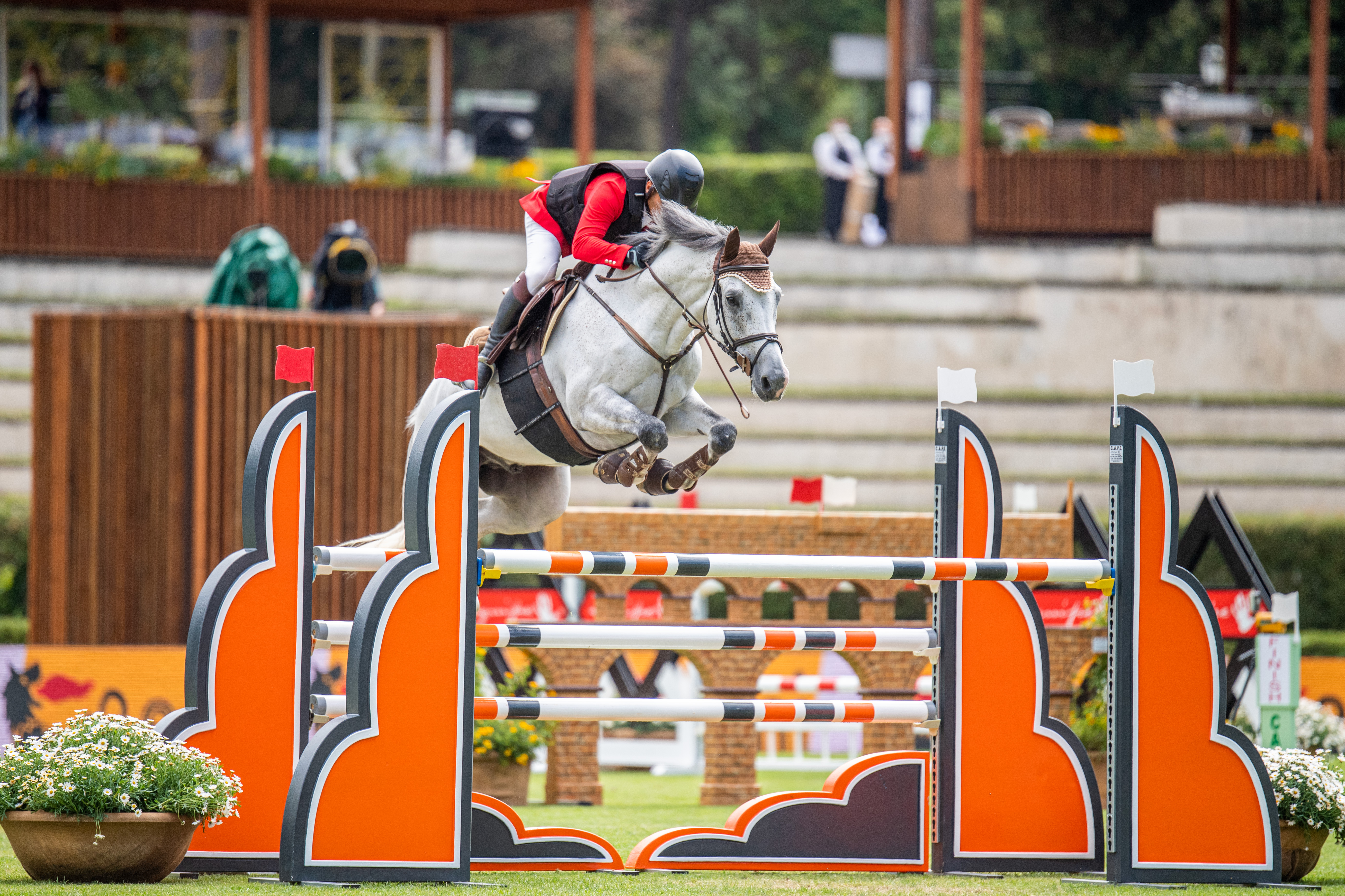 cavaliere con fascia .jpg