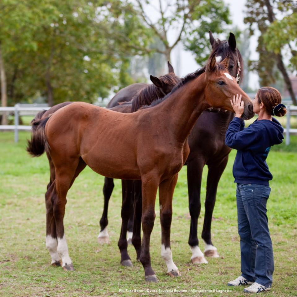 Allevamento Il Laghetto di Siziano
