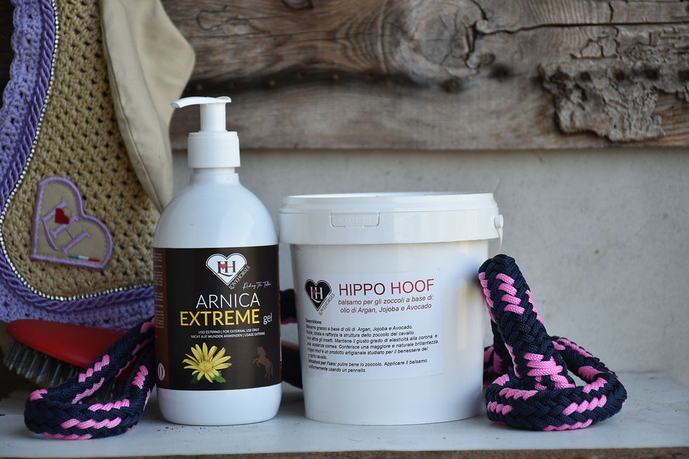 Thumbnail: Gel all’arnica naturale LoveHorses per cavalli, favorisce il recupero muscolare e lenisce tensioni e gonfiori
