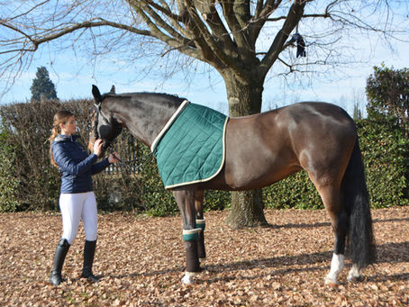 Salvagarrese in bio-ceramica LoveHorses