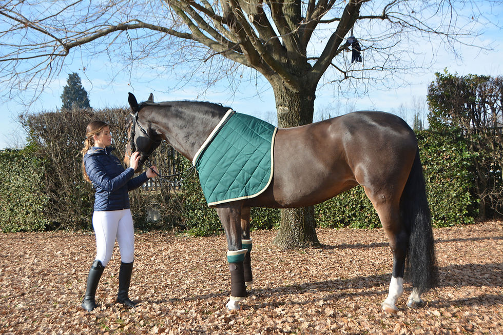 Bio-magic LoveHorses colore verde