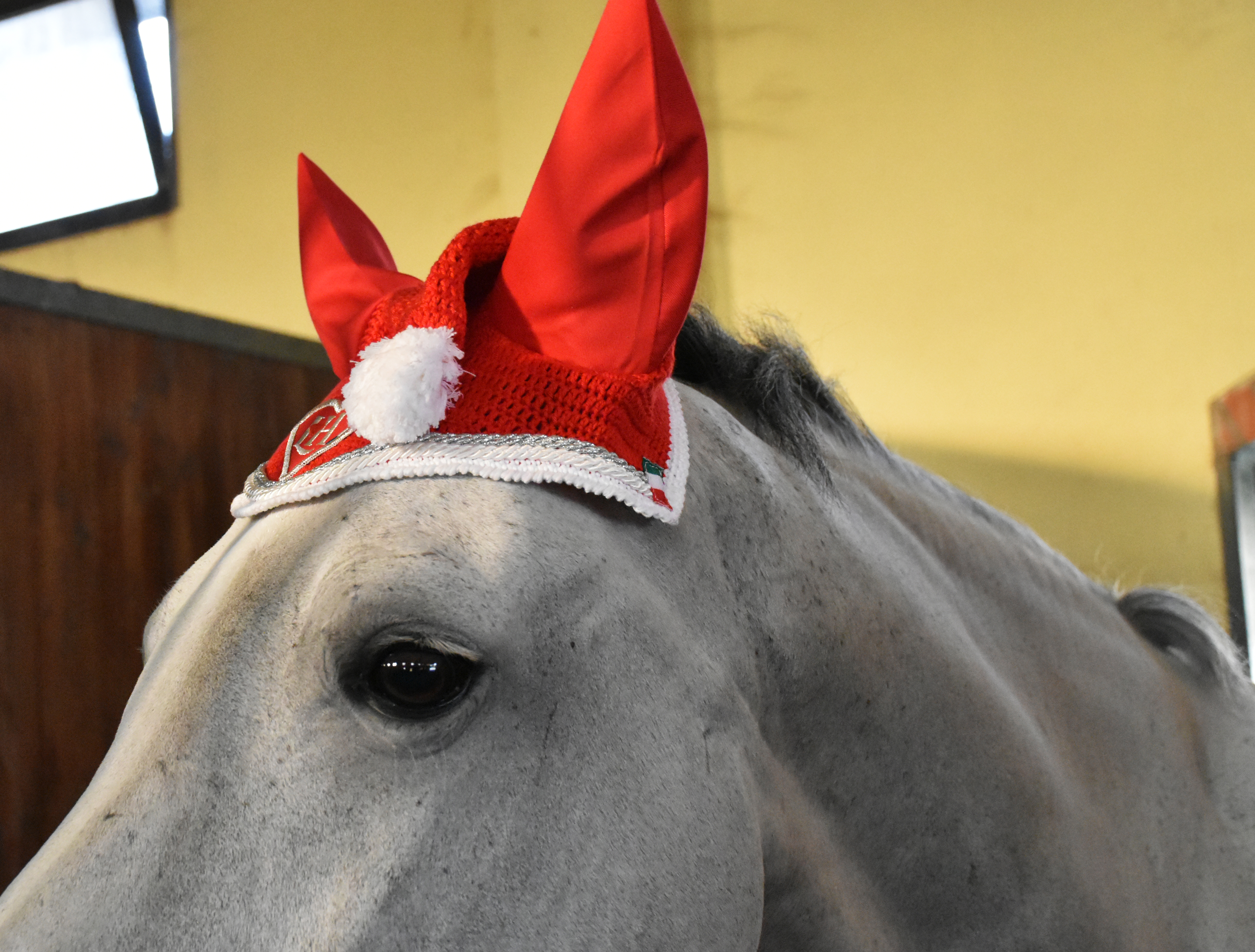 Sottosella e cuffietta Natalizi rossi con il bordo bianco