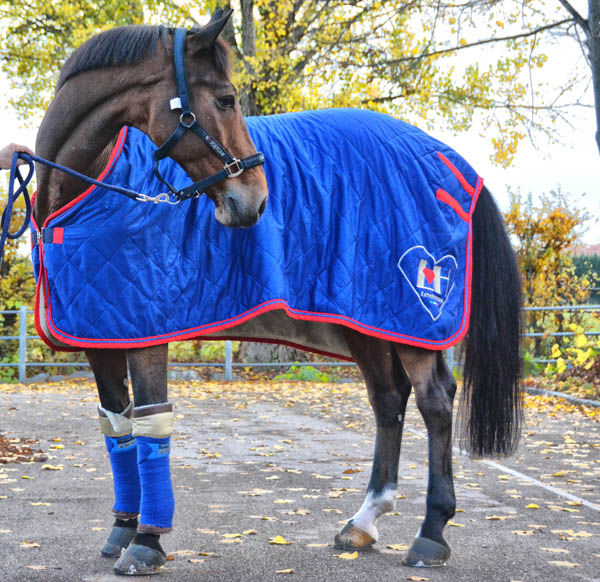 Thumbnail: Coperta termica da passeggio  per cavalli con trapuntatura e tessuto in bio-ceramica