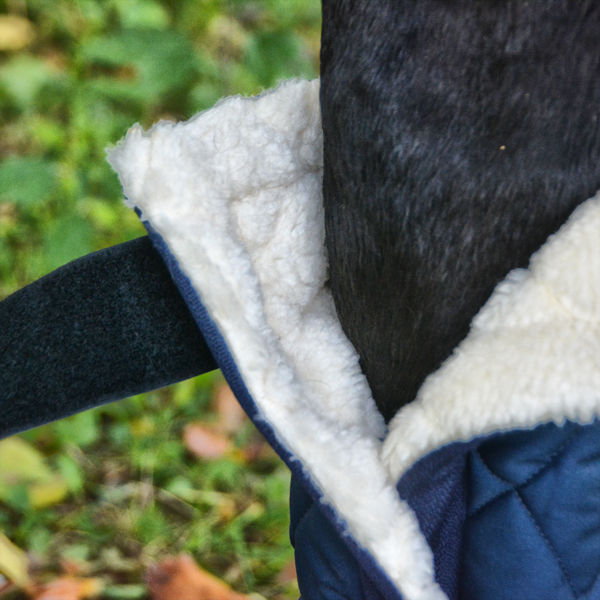 Miniature : I Bio Boots  terapeutici LoveHorses aumentano il microcircolo locale