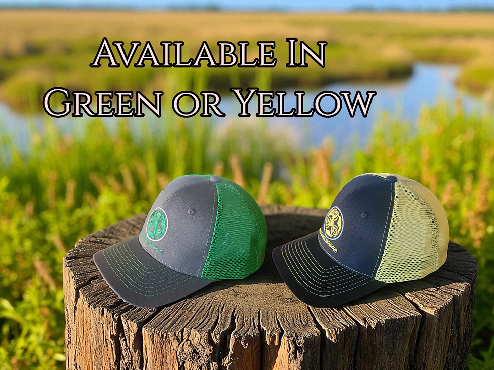 Two Trucker Hats Side Views