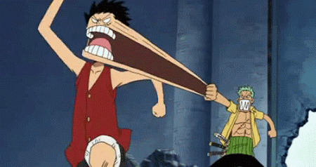 Luffy and Zoro [funny] gif