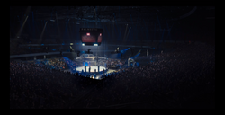 Palmetto Casino: UFC Octagon