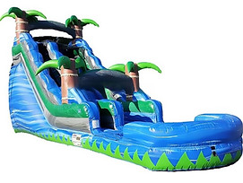 Palm Tree Waterslide (2).jpg