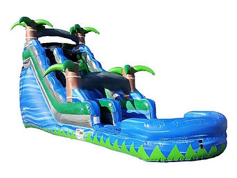 Palm Tree Waterslide (2).jpg