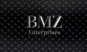 BMZ Logo gif.gif