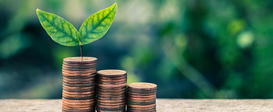 seedling-plant-are-growing-money-coin-tower-with-blurred-bokeh-background-business-finance