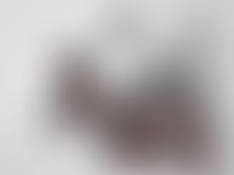 【DTPデザイン】SHONEコーポレーション様 3つ折りリーフレット