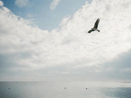 映像の魔法: 色彩とフィルターで心を掴む究極ガイド