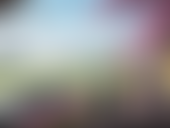 この先の日本はどうなる？