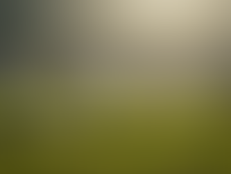 ここにしかない、いのちの風景──庄内という思想から見える未来