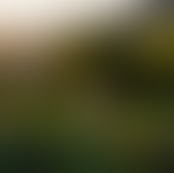 資本主義と距離を置くには?