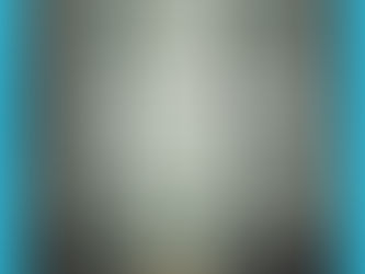 デジタル絵本『ひとりぼっちのオオカミ』