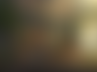 【今後5年で、世界はどうなっていくのか？—フリーランスの雑感と未来妄想】